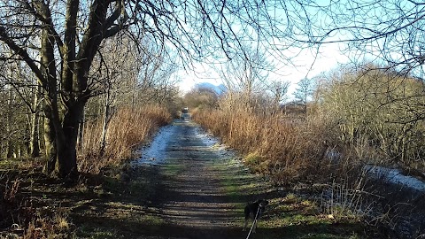 Straiton Pond Local Nature Reserve