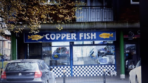 Copper Fish