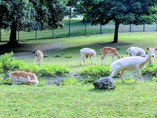 Maryon Wilson Animal Park