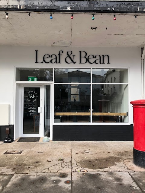 Leaf and bean