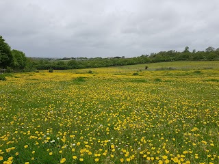 Darenth Country Park