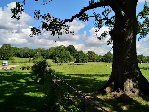 National Trust - Cafe