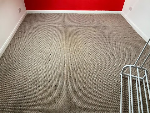 The Carpet Genies