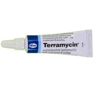 Terramycin Ophthalmic Ointment for Dogs & Cats