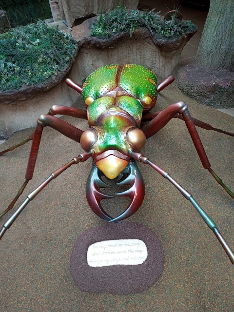 Clumber Park Discovery Centre