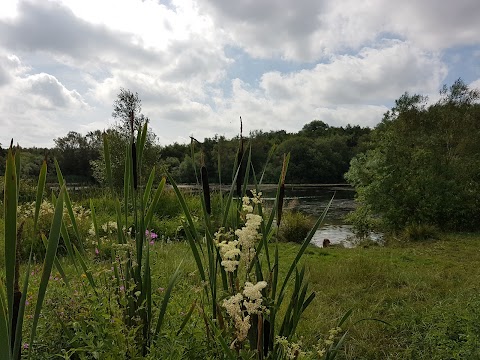 Saltersford Brook