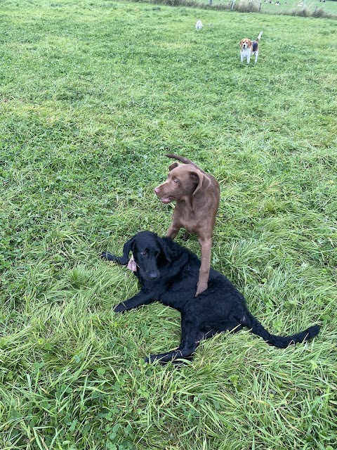 Westhoughton Dog Park