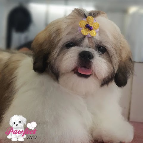 Pawfect Style Dog Grooming SPA