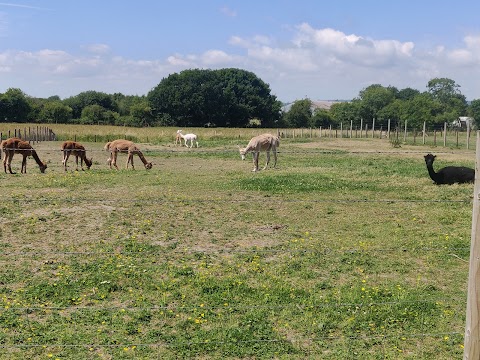 Walnut Tree Farm Park