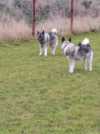 Moulton Dog Walking Field