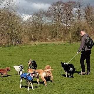 The Dog Walkers