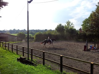 Owslebury Equestrian Centre