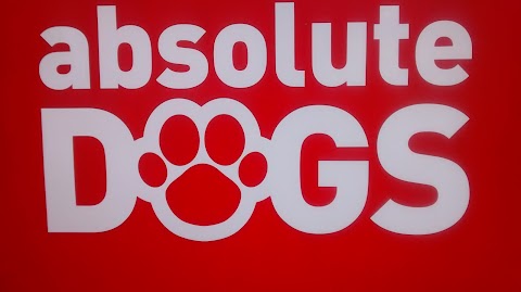 Absolute Dogs (Scotland) Ltd