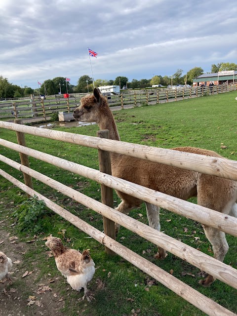 Meadow Lane Veterinary Centre