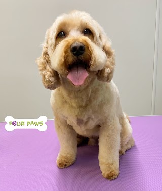 Four Paws Groom School