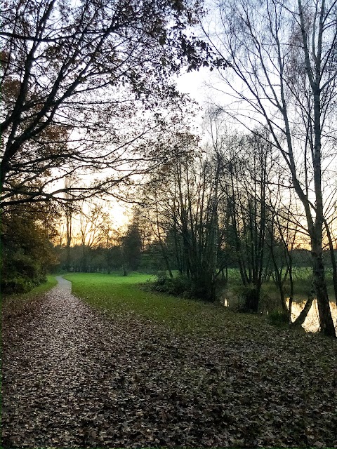 Langley Hall Park - Nature Reserve