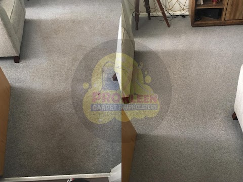 Prokleen & Son Carpet & Upholstery Cleaning Services