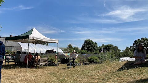 Arkwright Meadows Community Gardens