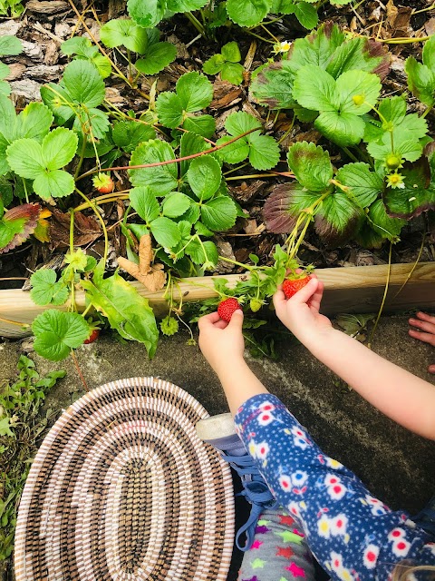 Arbor Green Nursery