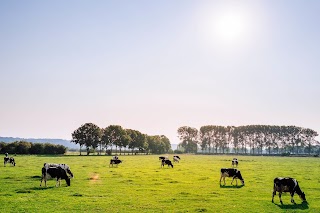 LLM Farm Vets, Whitchurch