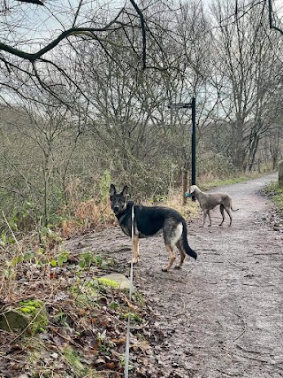 City Fields Dog Boarding