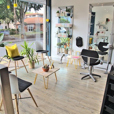 Lonicera Hairdressing