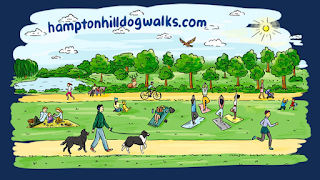 Hampton Hill Dog Walks