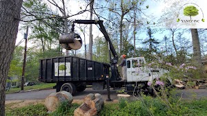 Yanez Tree Service Experts