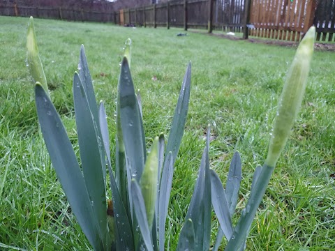 Lawn Road Open Space