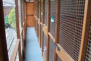 Brockmoor Boarding Cattery