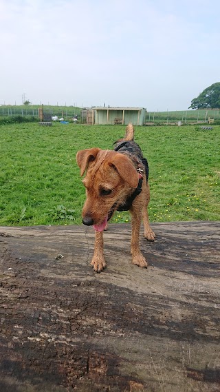 Barklay Park Dog Day Care Centre