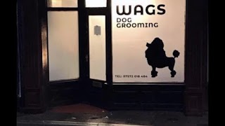 Wags Dog Grooming