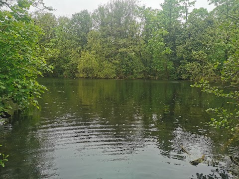 Plantsbrook Local Nature Reserve