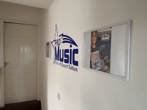 Pro Music Tuition Ltd (Solihull)