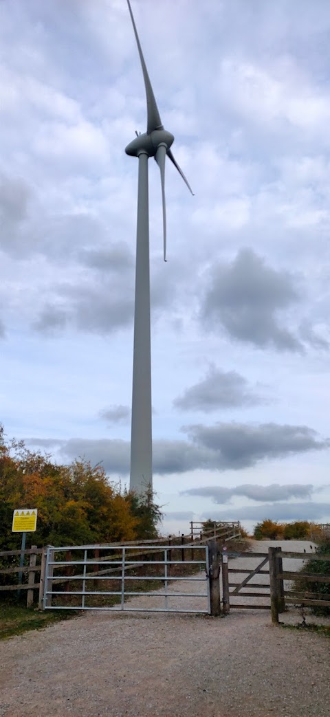 The Forest Centre & Millennium Country Park