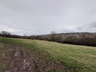 Silver Street Local Nature Reserve