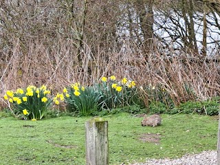 Tittesworth Water Car Park