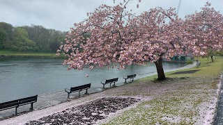 Crookes Valley Park