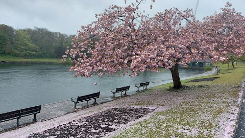 Crookes Valley Park