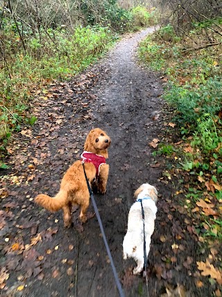 Mucky Pups Dog Walking Service