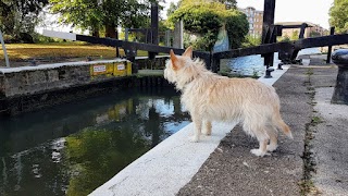 Beckets Park Embankment