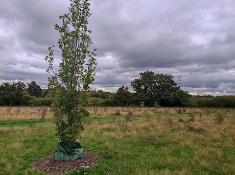 Whitewater Country Park