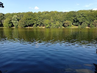 Newmillerdam