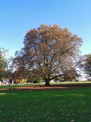 Woodfield Park Community Hall