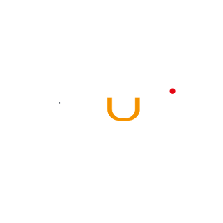 Sulis Sports LTD