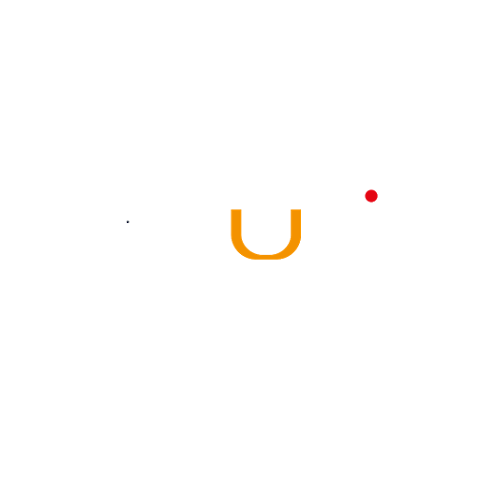 Sulis Sports LTD