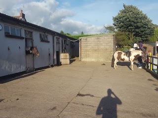 Poplars Farm Riding School