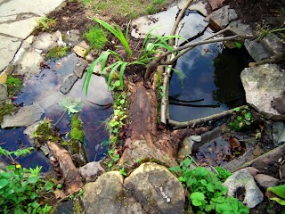 Stone Wood Water Light