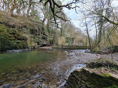 Longford Waterfall | Y Cwm