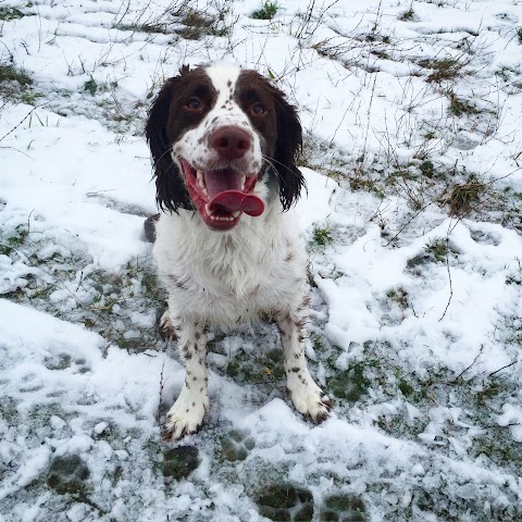 Muddy Walks Glasgow